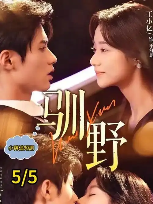 锦衣提刑官 古装权谋电视剧全集在线观看